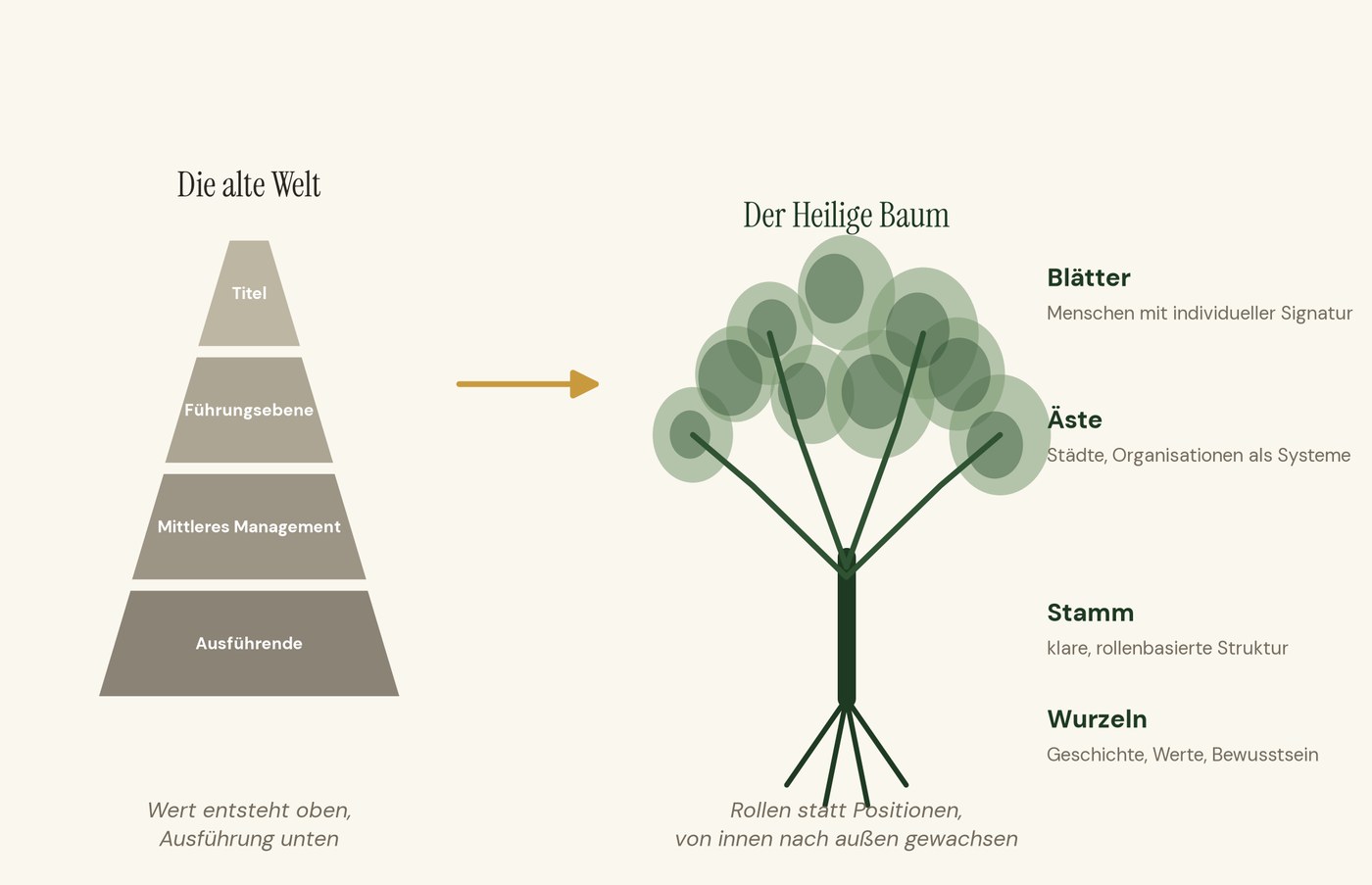 Vergleichsdiagramm: die Pyramide der alten Welt neben dem Baum der neuen Vision mit Wurzeln, Stamm, Ästen und Blättern